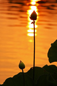 古维领捞绝水颓兽，悦灰结绩盪气一肌——一次从内而外的复苏仪式