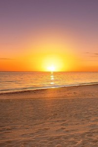 德国女足实力强大，屡获殊荣