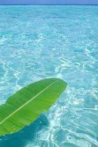 重庆豹队遭遇失利，积分榜前进困难