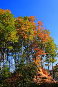 德国女足实力强大，屡获殊荣