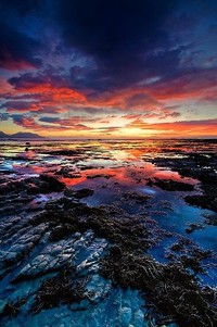 阿拉维斯全队出击，团结拼搏取胜