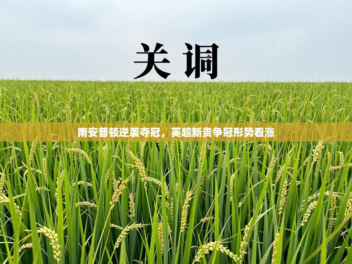 南安普顿逆袭夺冠,英超新贵争冠形势看涨 第2张