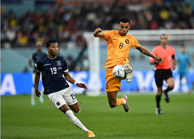 荷兰国脚表现不俗，助球队取得胜利的简单介绍