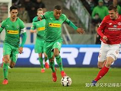 九游体育app-梅因茨客场失利，球队降级形势凶险的简单介绍