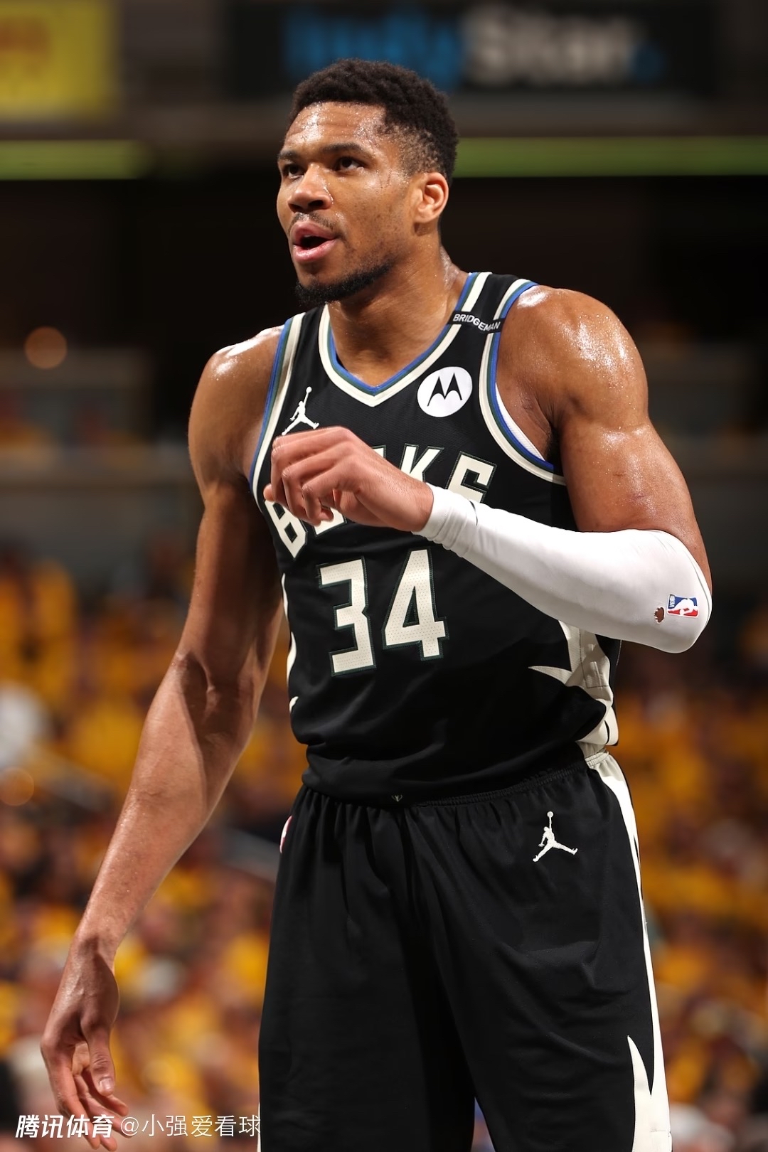 包含雄鹿力克掘金，继续保持不败的词条